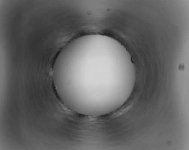 X0000101700624200807101347