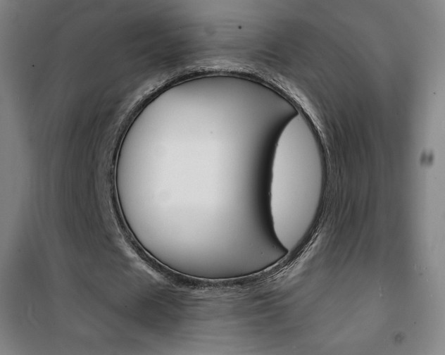 X0000101700625200807101347