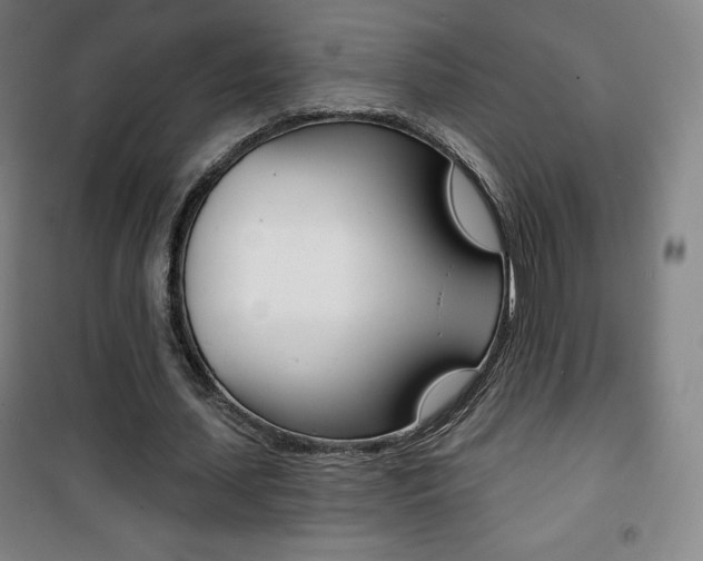 X0000101700627200807101347