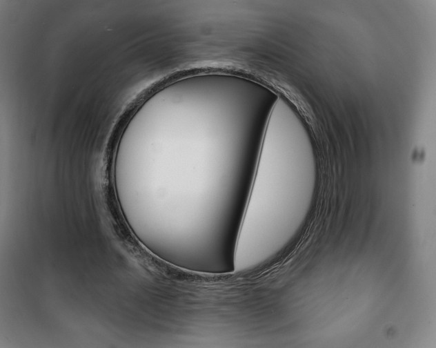 X0000101700628200807101347