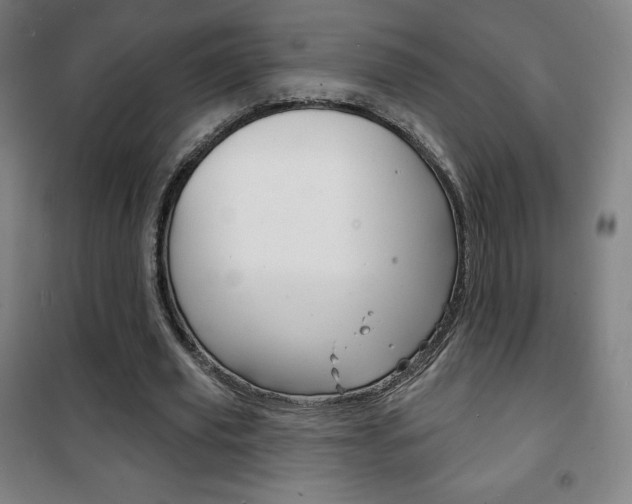X0000101700629200807101347