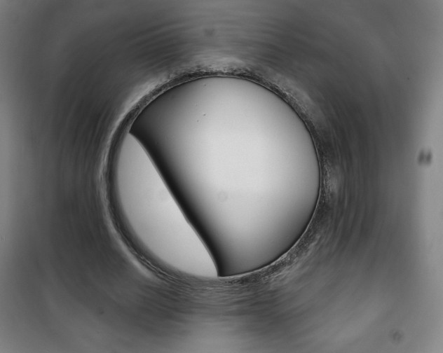 X0000101700630200807101347