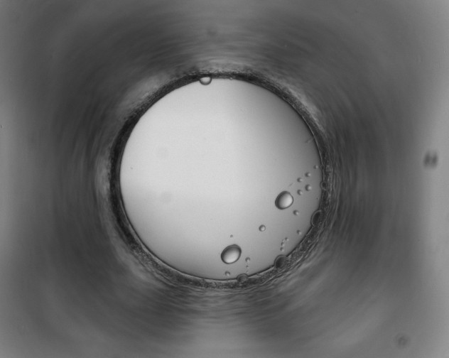 X0000101700631200807101347