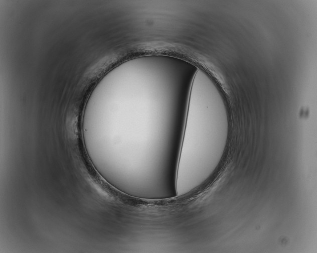 X0000101700633200807101347