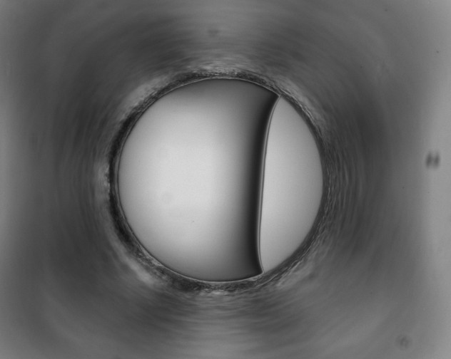 X0000101700634200807101347