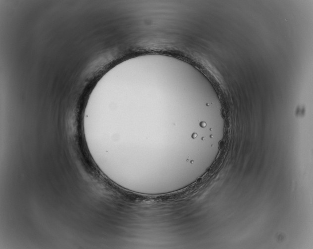 X0000101700635200807101347