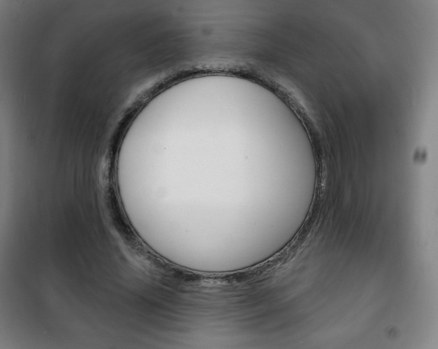 X0000101700636200807101347