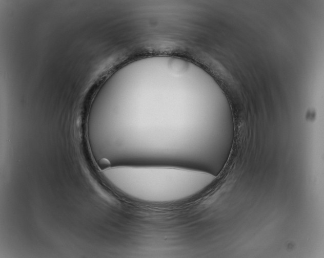 X0000101700638200807101347