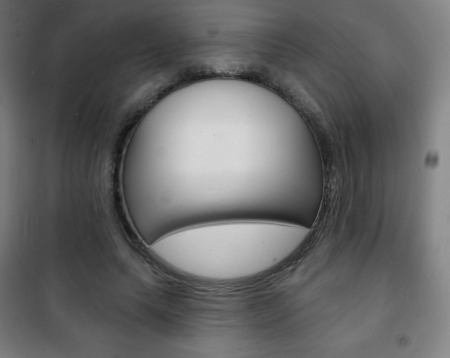X0000101700639200807101347