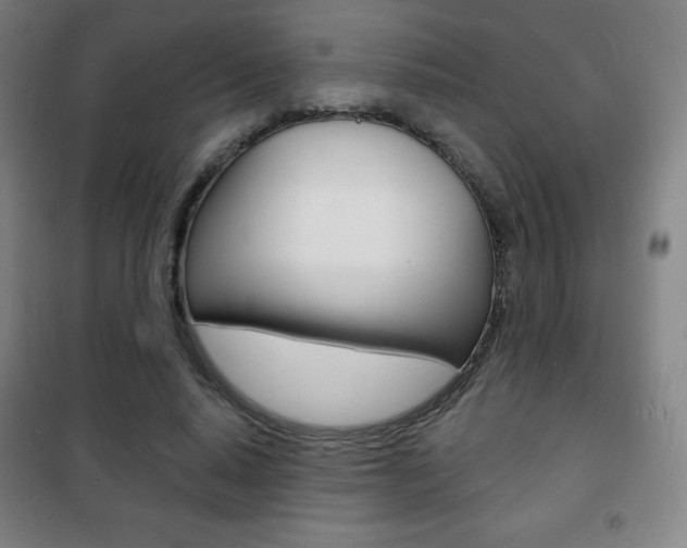 X0000101700640200807101347