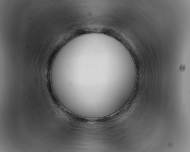 X0000101700641200807101347