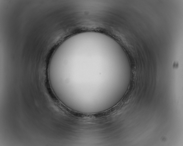 X0000101700642200807101347