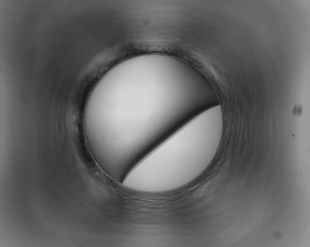 X0000101700643200807101347