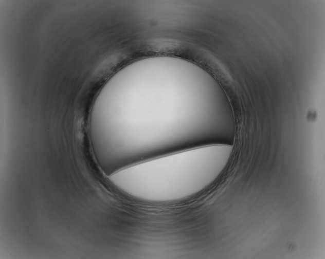 X0000101700644200807101347
