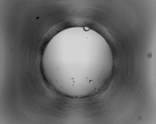 X0000101700645200807101347
