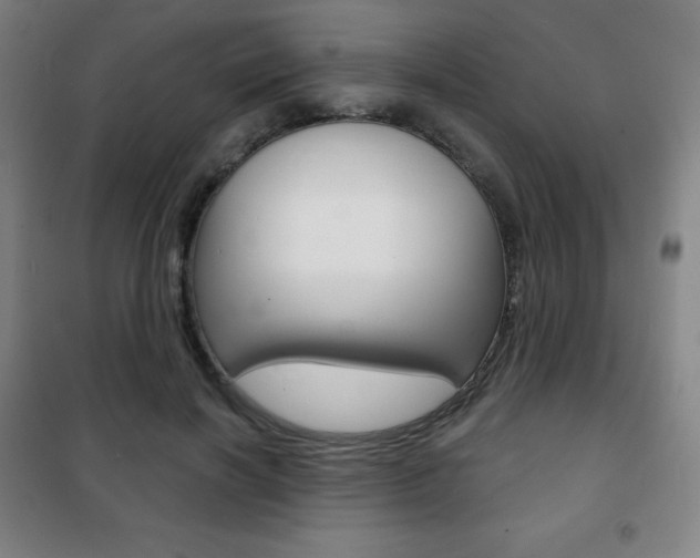 X0000101700646200807101347