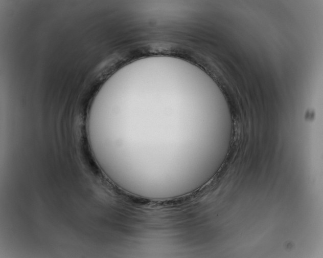 X0000101700648200807101347