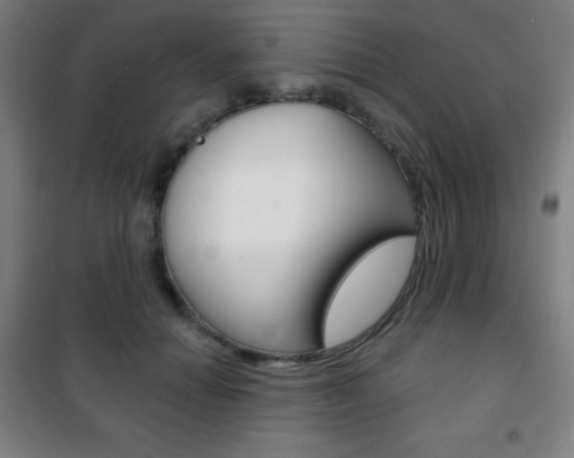 X0000101700654200807101347