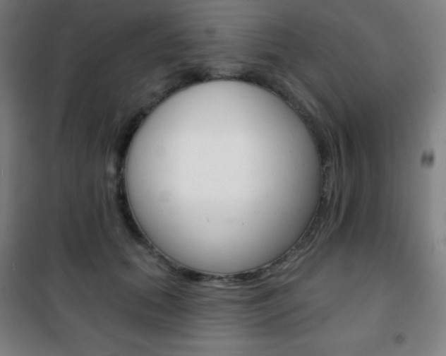 X0000101700655200807101347
