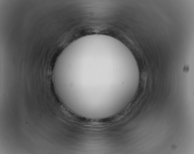 X0000101700657200807101347