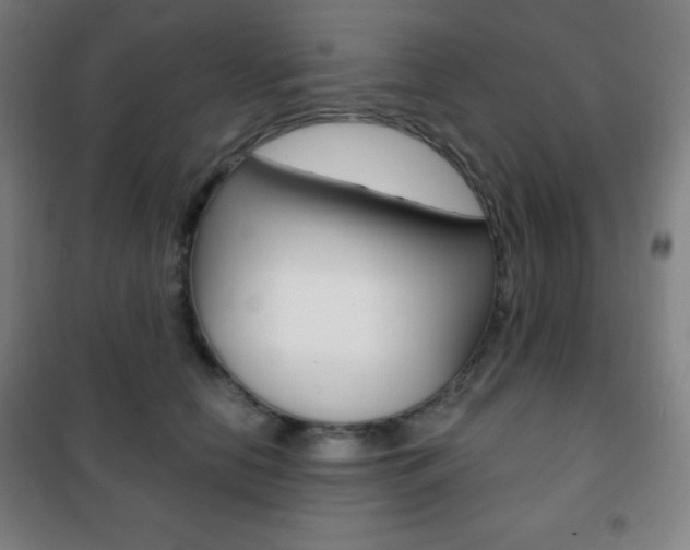 X0000101700658200807101347