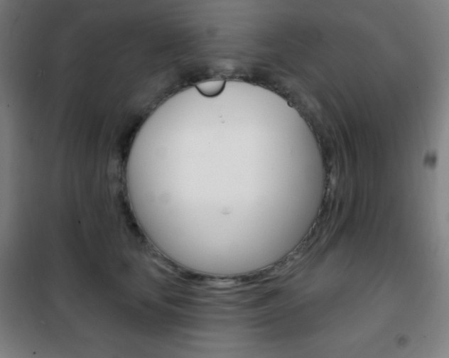 X0000101700659200807101347