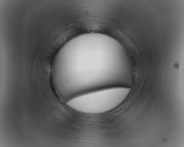 X0000101700660200807101347