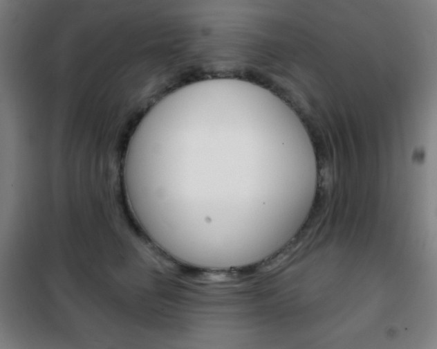 X0000101700662200807101347