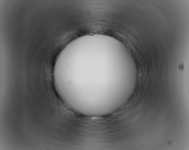 X0000101700663200807101347