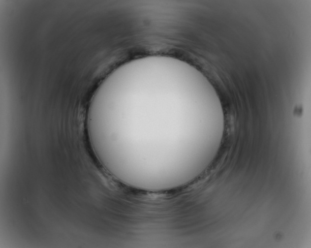 X0000101700664200807101347
