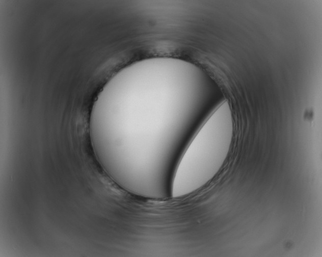 X0000101700665200807101347
