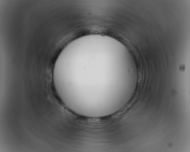 X0000101700666200807101347
