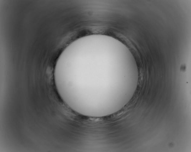 X0000101700667200807101347
