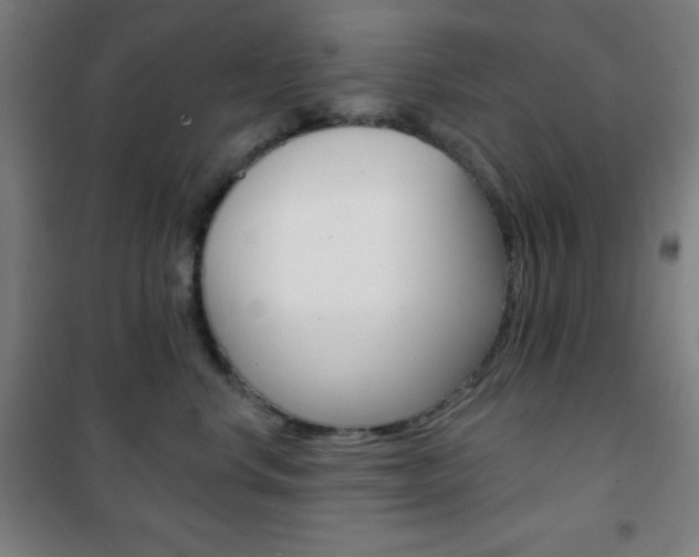 X0000101700668200807101347