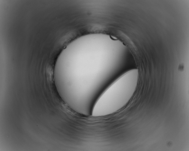 X0000101700669200807101347
