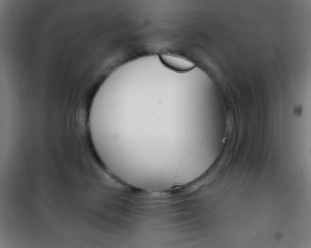 X0000101700670200807101347