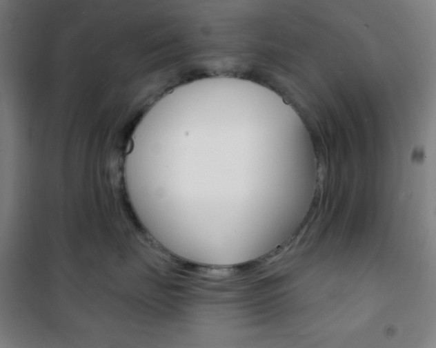 X0000101700671200807101347