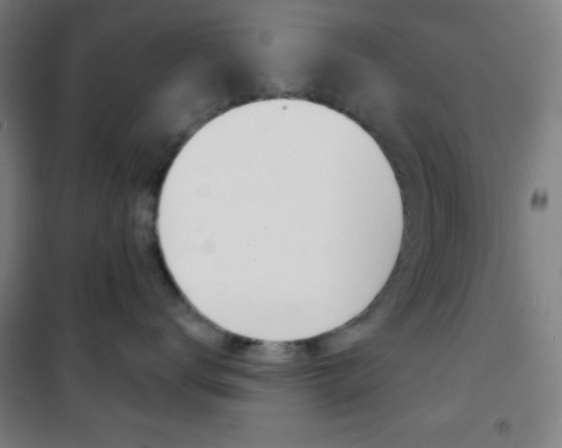 X0000101700672200807101347