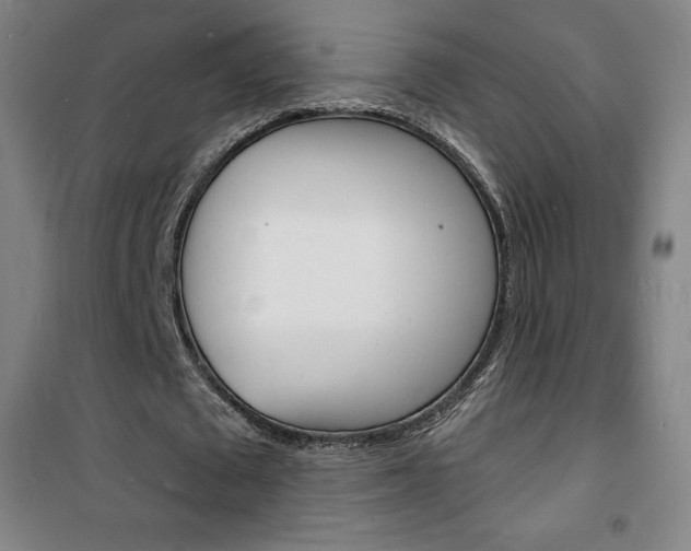 X0000101700673200807101347