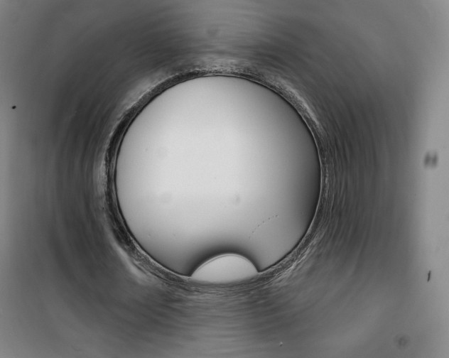 X0000101700674200807101346