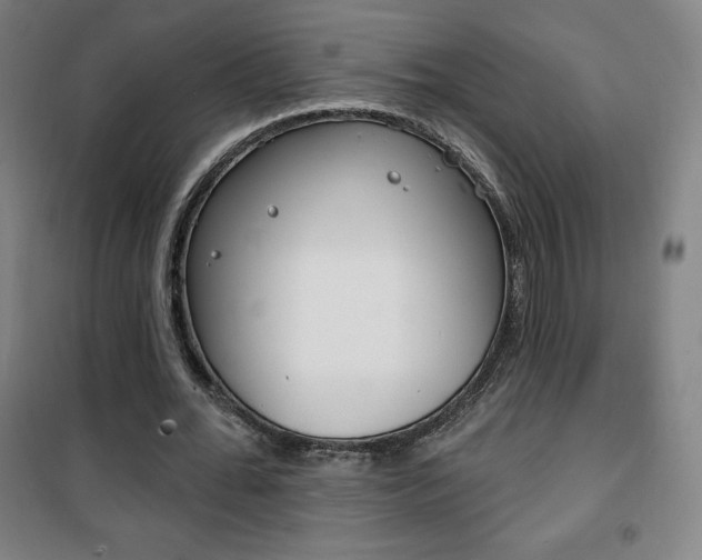 X0000101700676200807101346
