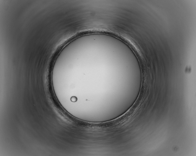 X0000101700677200807101346