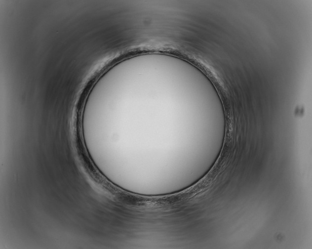 X0000101700678200807101346
