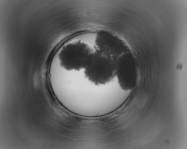 X0000101700679200807101346