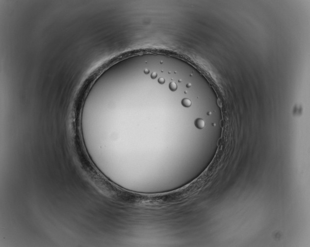 X0000101700680200807101346