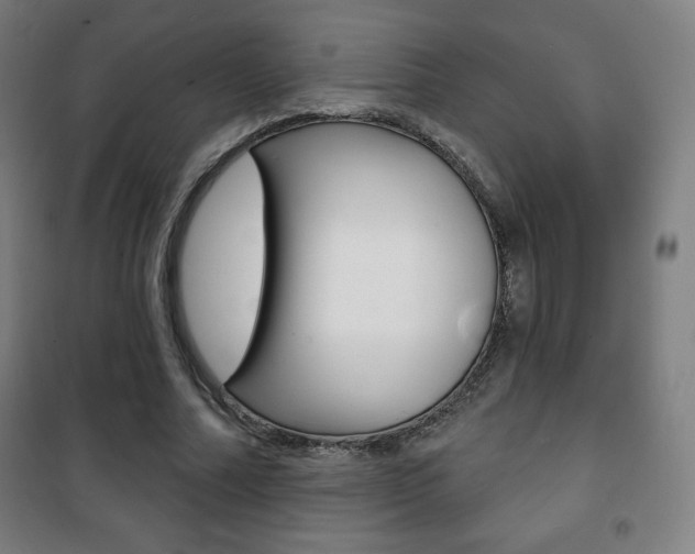 X0000101700682200807101346