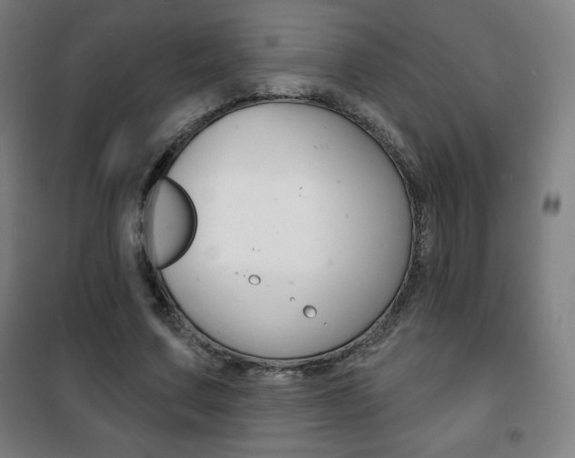 X0000101700683200807101346