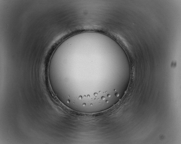 X0000101700684200807101346