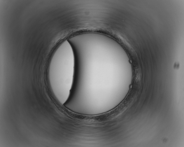X0000101700685200807101346