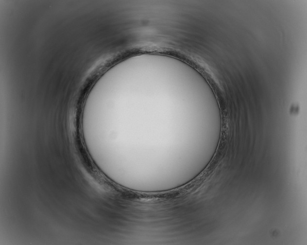 X0000101700686200807101346
